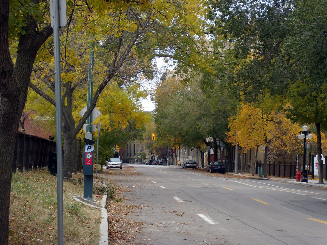 Autumn colour on a neighbourhood outing